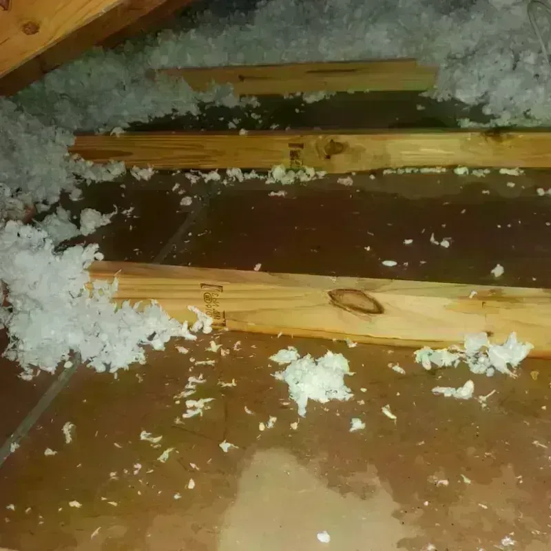 Attic Water Damage in Atoka County, OK