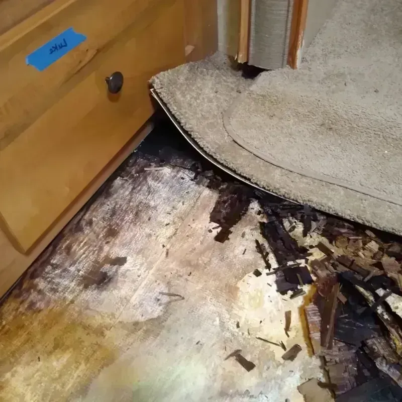 Best Wood Floor Water Damage Service in Atoka County, OK